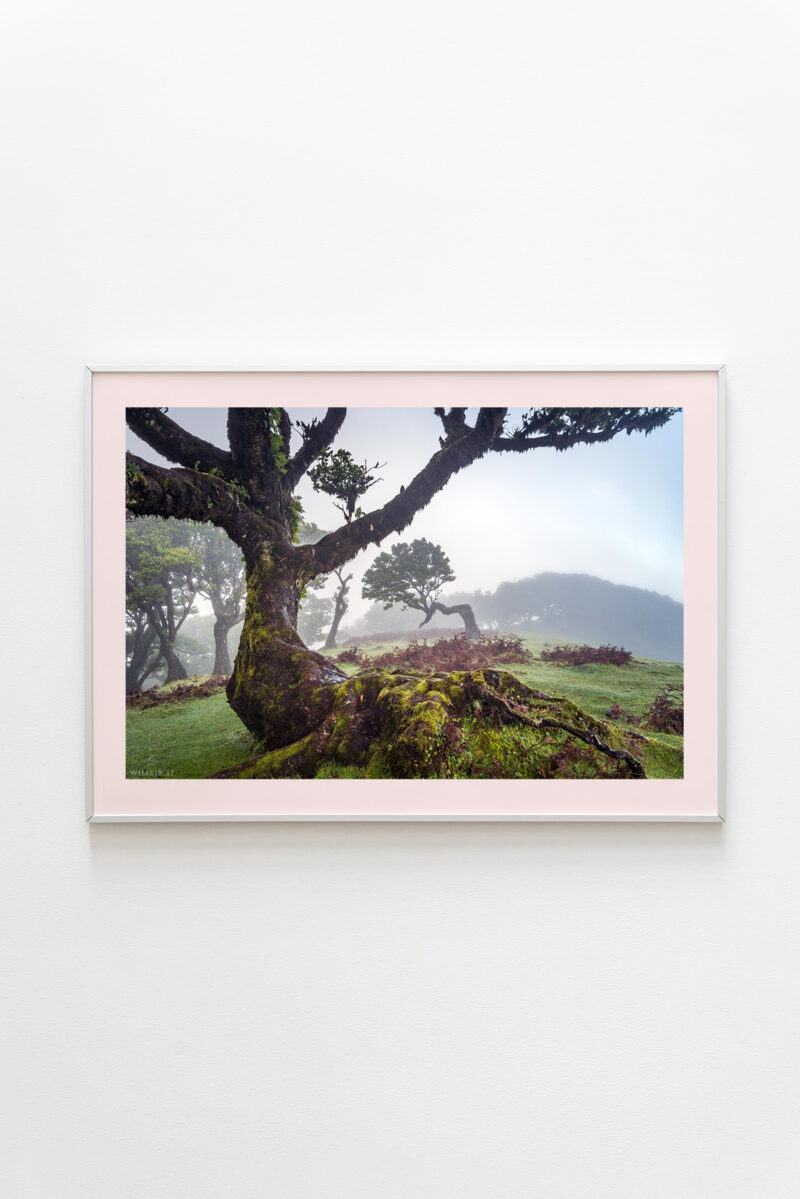 Portugal - Feenwald