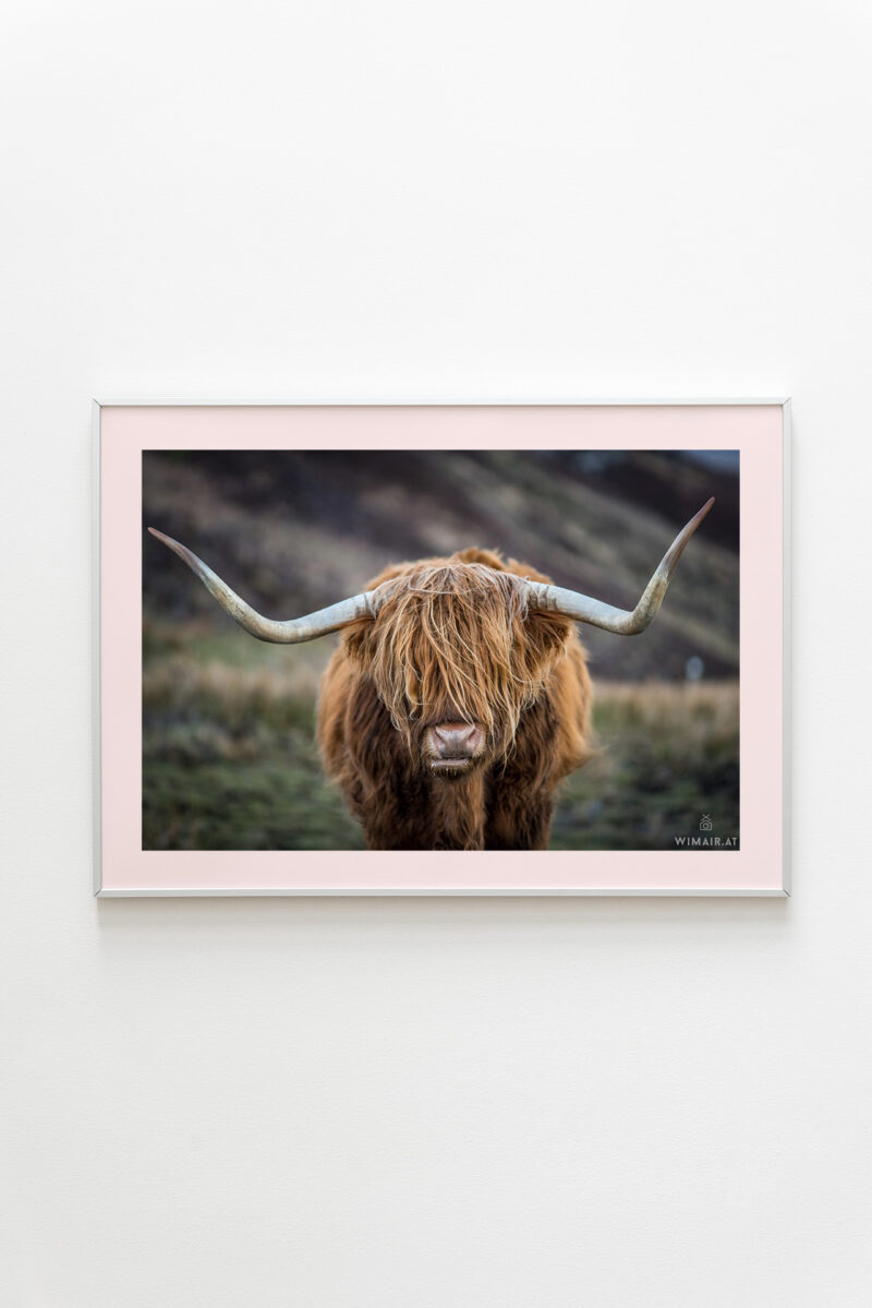 Schottland - Portrait einer Einheimischen
